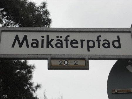 beziehungsphasen_titel